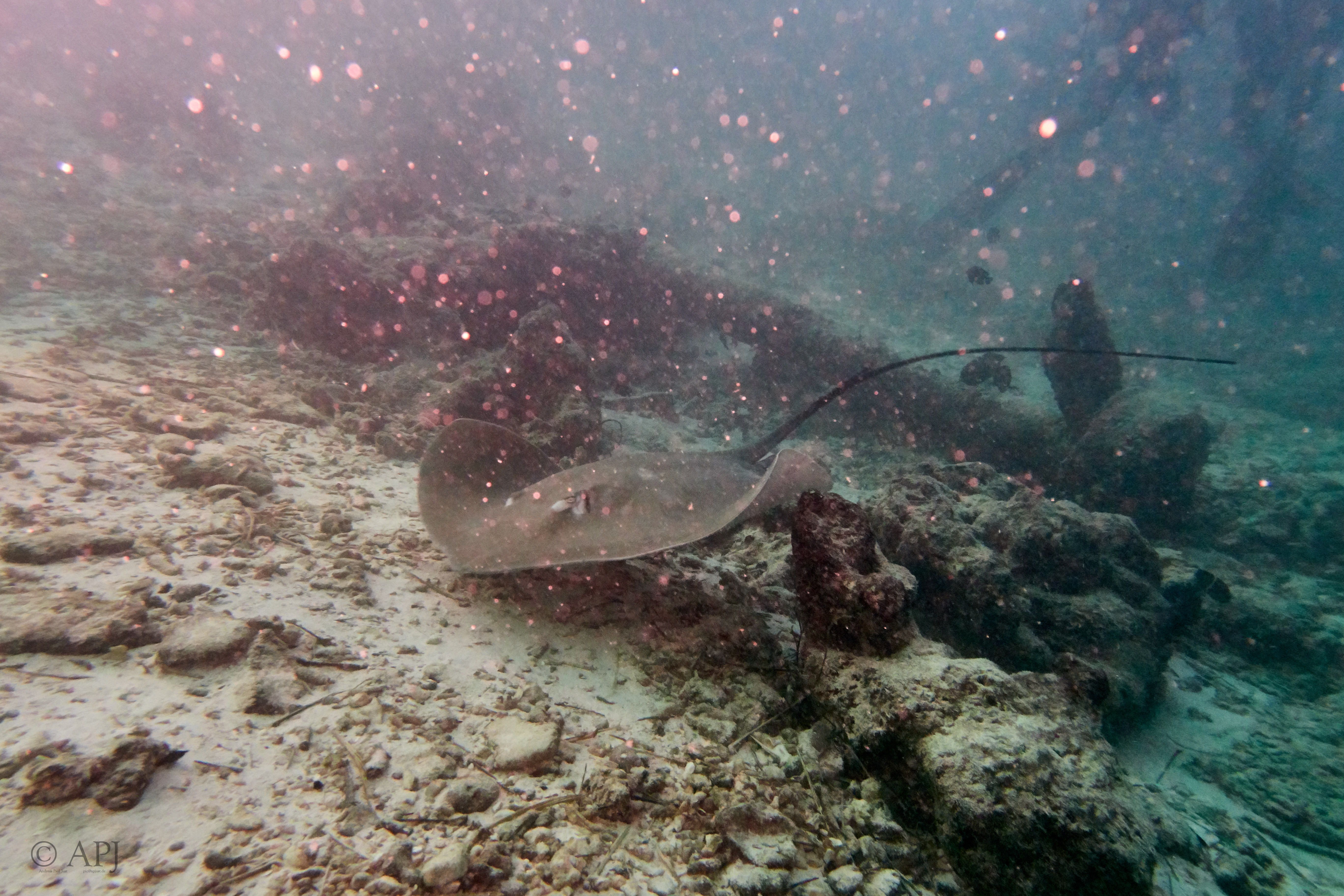 000122 13 08 17  Canon PowerShot G7 X Mark II   Malediven2017